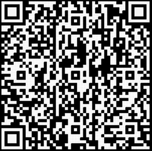 QR Code Pix